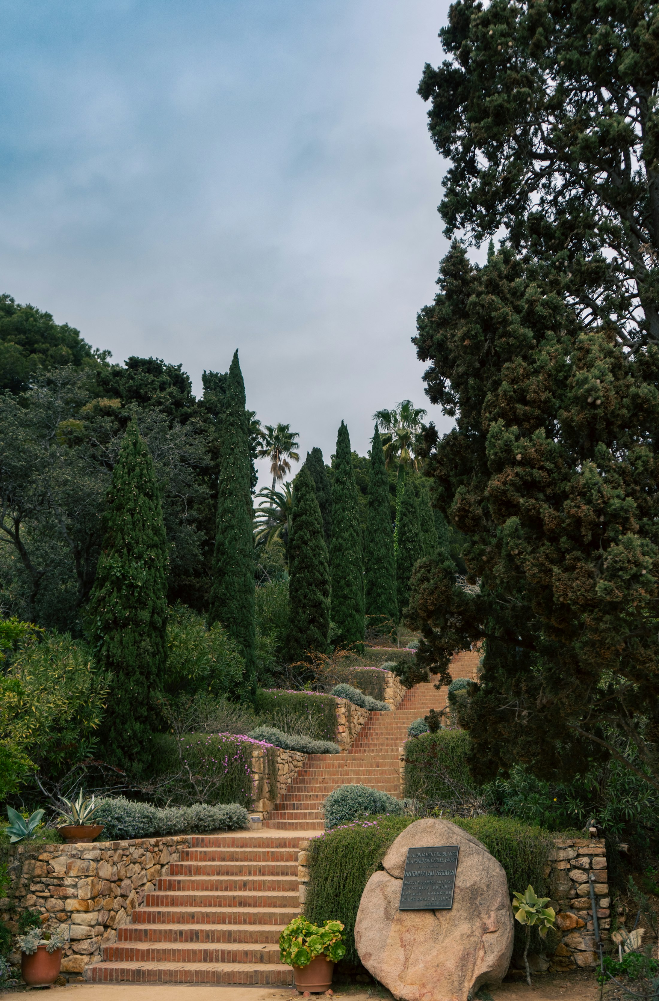 Jardin méditerranéen luxuriant baigné de lumière sur la Côte d'Azur